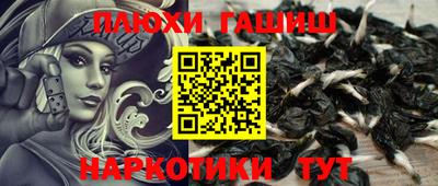 хмурый Бердск