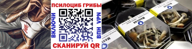 Псилоцибиновые грибы Psilocybe  Старая Русса 