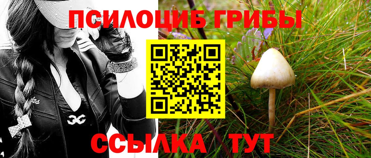 Старая Русса  Псилоцибиновые грибы прущие грибы  Галлюциногенные грибы прущие грибы  Вход с VPN 