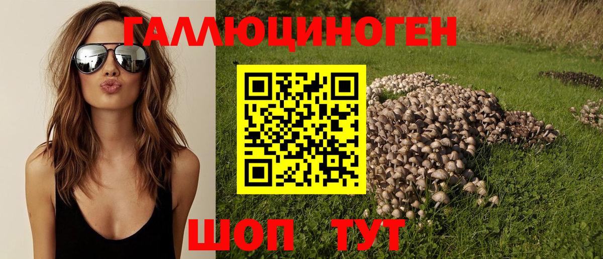 Галлюциногенные грибы MAGIC MUSHROOMS Старая Русса